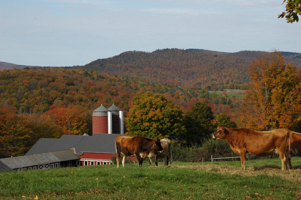 Springbrook Farm